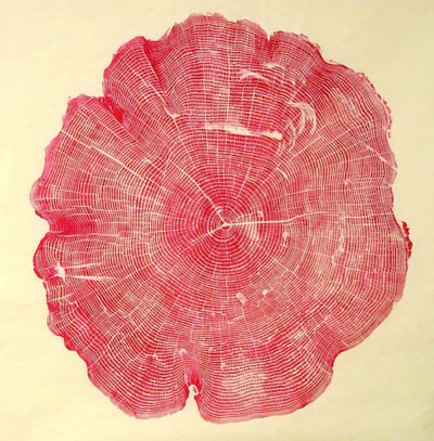 Woodcut Nash Gill Red Ash