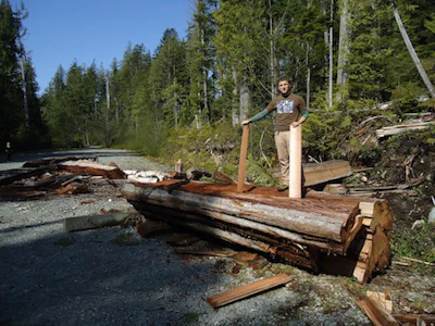 Wilderness Committee Poached Cedar2