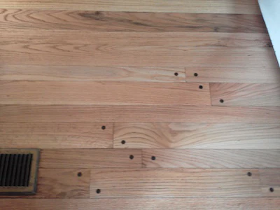 Walnut Plug Wood Floor Closeup