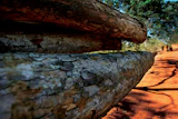 The Lacey Act amendments of 2008 were designed to reduce illegal logging worldwide, to stop scenes like this photo, which shows a truck load of logs that were illegally taken from the Amazon near the Arariboia Indigenous Reserve in June 2012. (Photo courtesy Environmental Investigation Agency.)