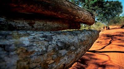 The Lacey Act amendments of 2008 were designed to reduce illegal logging worldwide, to stop scenes like this photo, which shows a truck load of logs that were illegally taken from the Amazon near the Arariboia Indigenous Reserve in June 2012. (Photo courtesy Environmental Investigation Agency.)