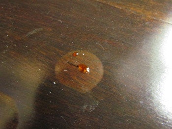 photo of wood floor with blister problem