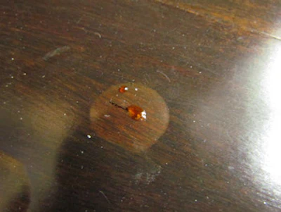 photo of wood floor with blister problem