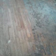 Old pine floor covered in carpet dirt.jpg