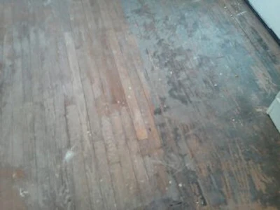 Old Pine Floor Covered In Carpet Dirt