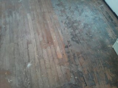 Old Pine Floor Covered In Carpet Dirt