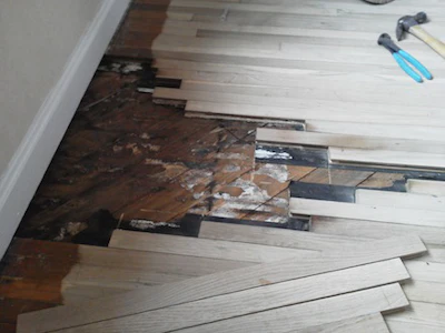 Rotten Wood Subfloor Repair