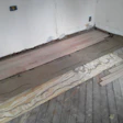 1 - Subfloor repairs.jpg