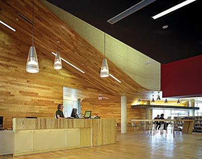Beetle-infested ash trees have become a dramatic backdrop for the Traverwood Branch of the Ann Arbor Library.