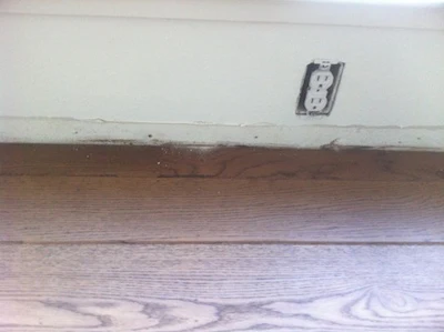 Avi Dust On Wood Floor