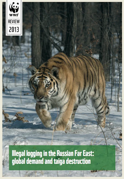 Russian Tiger