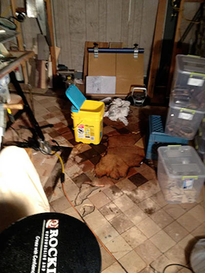 photo of wet spot on wood floor