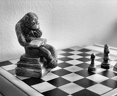photo of monkey chess set