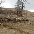 photo of Dixon disaster
