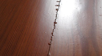 photo of wood floor finish