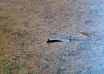 Hammer Tacker Staple