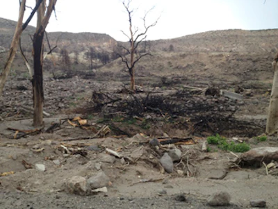 photo of Dixon disaster