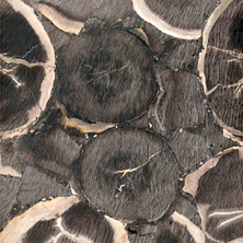 photo of cork flooring