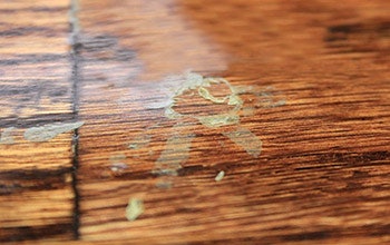 photo of wood floor finish