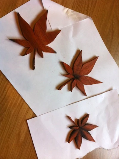 Avi Hadad Leaf Inlay Step 3