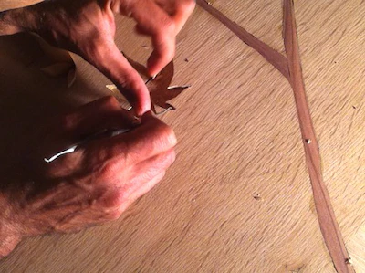 Avi Hadad Leaf Inlay Dental Tool