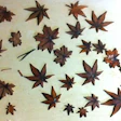 Avi Hadad Sand Shaded Leaves