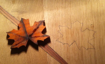 Avi Wood Floor Leaf Inlay 1