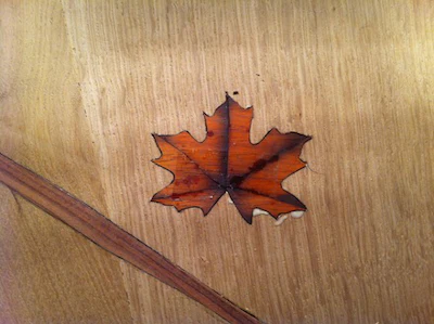 Avi Wood Floor Leaf Inlay 4