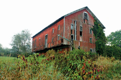 Barn Red 1 Web