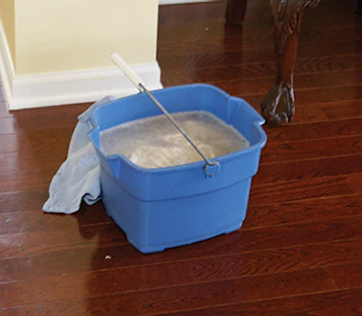 Problems can arise when the homeowners are uneducated about maintenance. This family told me they 'take great care of the their floor.' I took this photo as I began my inspection. (Photo by Scott Taylor)