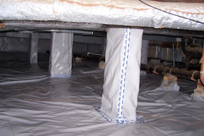 Wayne Lee Crawl Space Fixed