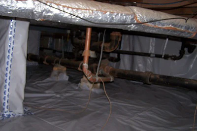 Wayne Lee Crawl Space Fixed3