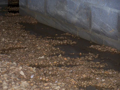 Wayne Lee Crawl Space Moisture