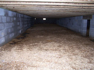Wayne Lee Crawl Space Moisture2