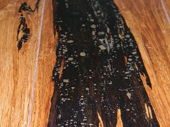 photo of a bamboo floor with bubbles forming