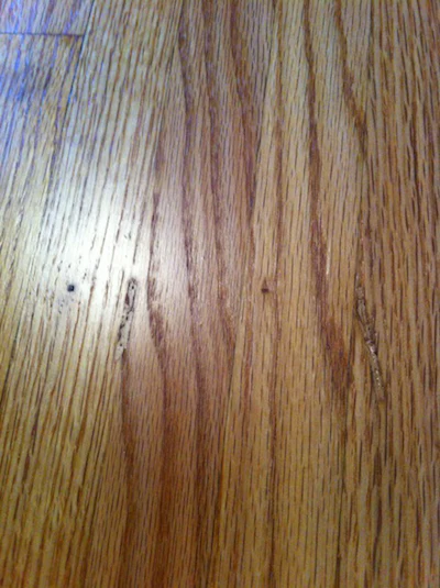 Finished Carpet Stretcher Marks