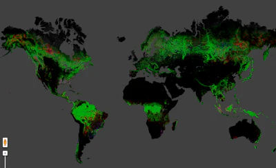 Forest Map