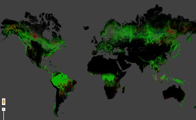 Forest Map