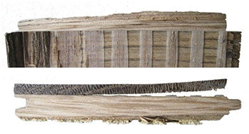 photo of wood flooring glue beads not flattened