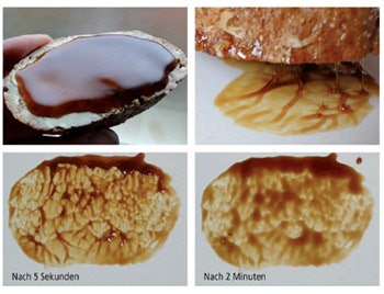 photo of honey bread glue structure in wood flooring