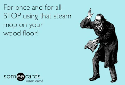 Cartoon Steam Mop