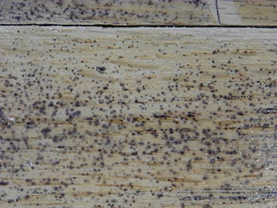 Experimenting showed that spots like this only appeared on the floor when metal shavings were worked into the open grain of freshly sanded wood and coated with waterborne finish.