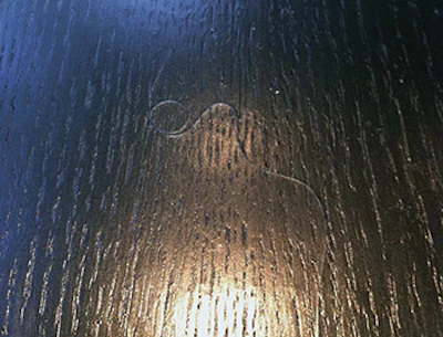 An occasional finish blemish in site-finished flooring is acceptable under NWFA Guidelines. When considering blemishes in a wood floor, people should be in a standing position under normal lighting conditions.