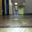 Wayne - HQ - flat wood floor.jpg