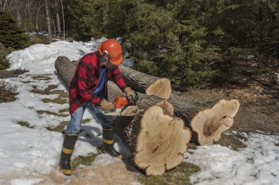 Lumberjack Shutterstock 1331066090 Lr