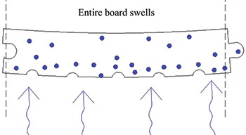 rendering showing how wood floor cupping progresses