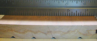 photo of wood flooring showing what added moisture does to it