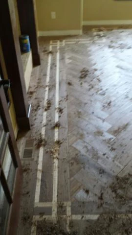Keith Long Hand Scraped Shavings