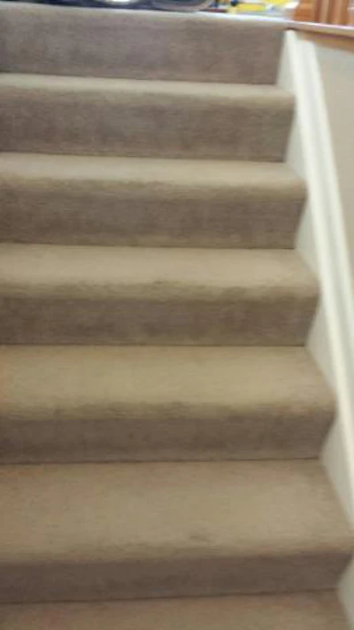 Keith Long Stairs With Carpeting