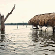 photo of CoastEcoTimber barge